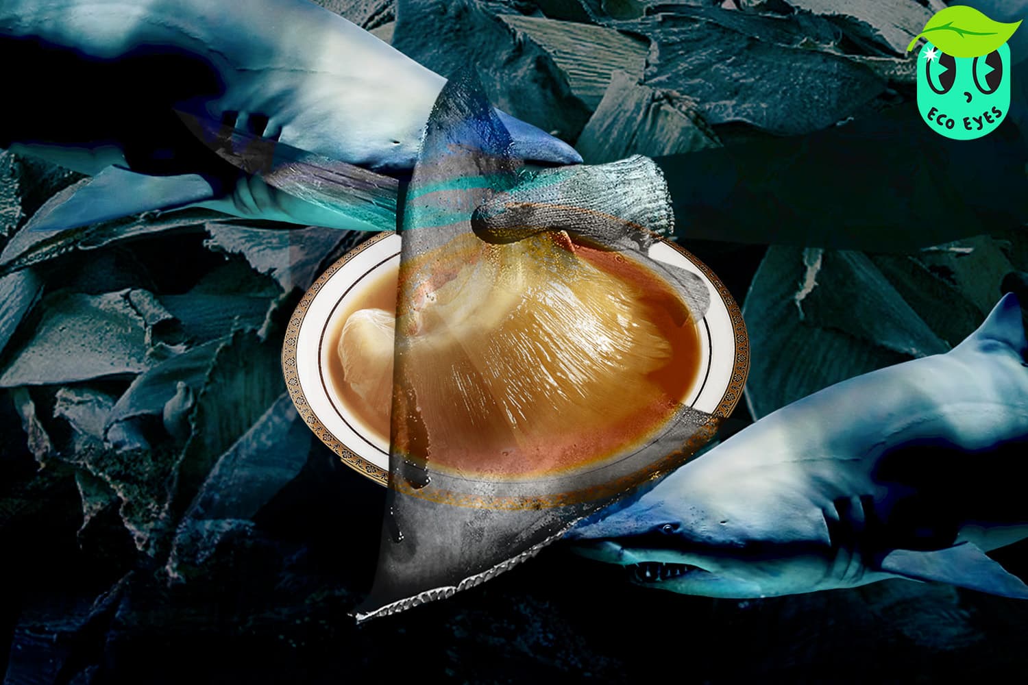 ecoeyes_shark_fin_menu_value_extinction_and_food_chain_SPACEBAR_Hero_7e9fa146c1.jpg