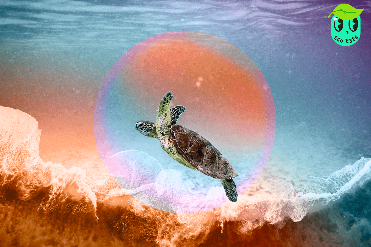 ecoeyes_warm_ocean_great_barrier_reef_SPACEBAR_Hero_617035542e.png