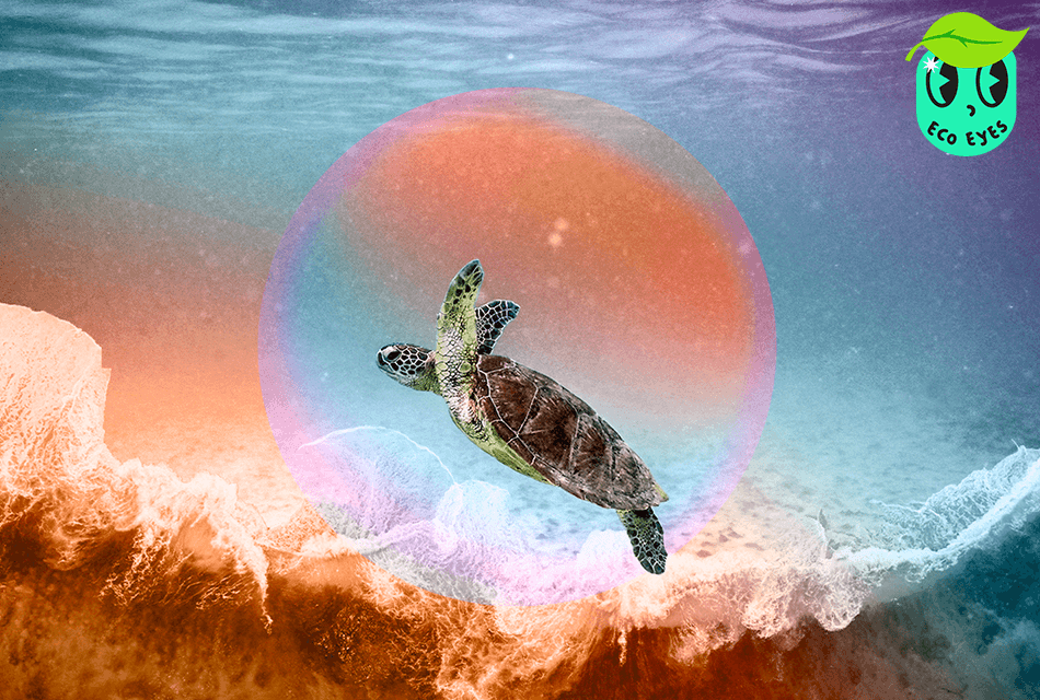 ecoeyes_warm_ocean_great_barrier_reef_SPACEBAR_Thumbnail_6aefe83df1.png
