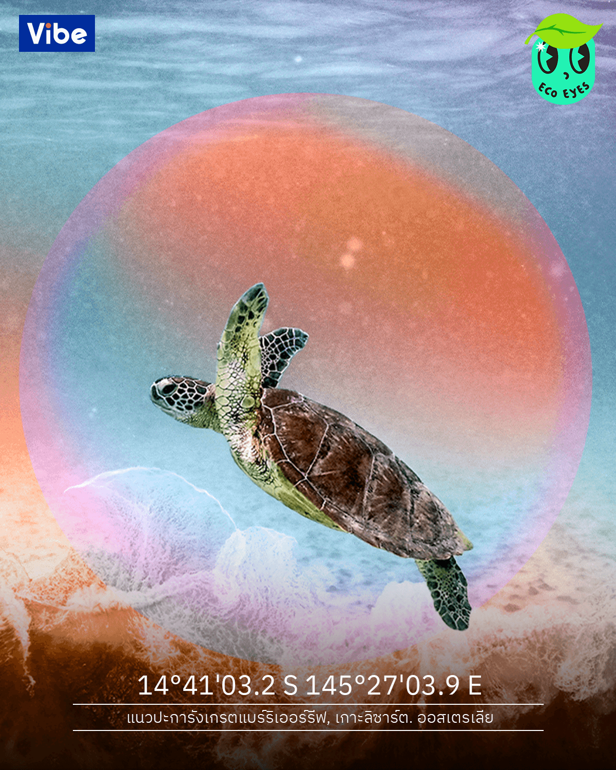 ecoeyes_warm_ocean_great_barrier_reef_VIBE_FB_Post_8c97c3fcf2.png