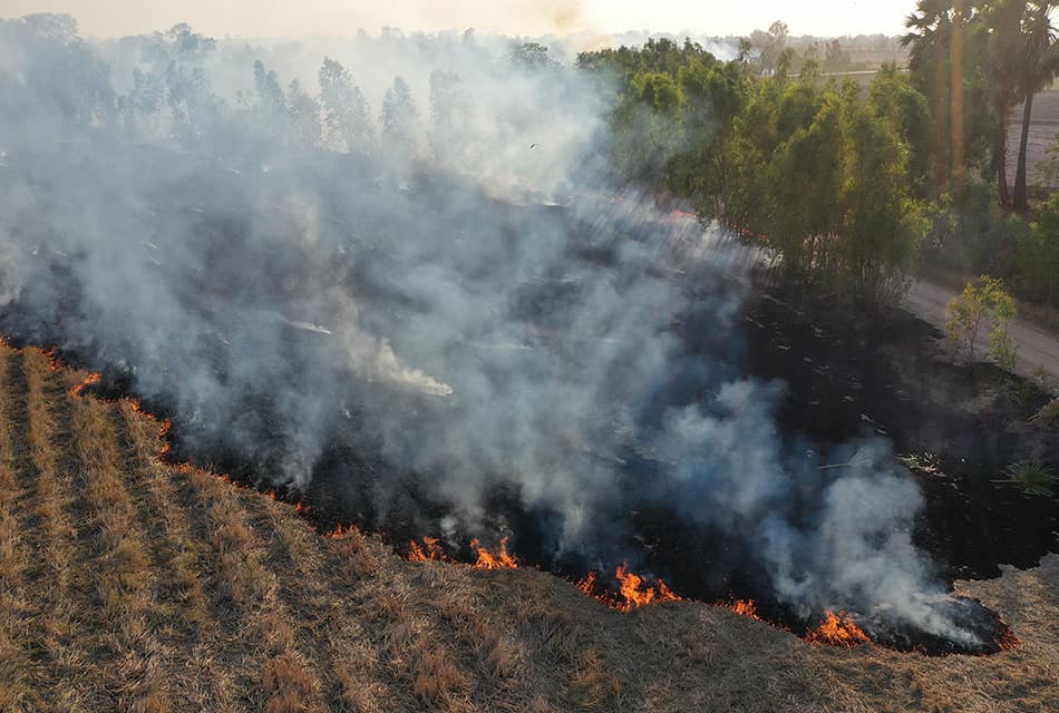 หยุดเผา ลดฝุ่น เพิ่มรายได้ เกษตรฯ หนุนเปลี่ยนเศษวัสดุเหลือใช้เป็นเงิน