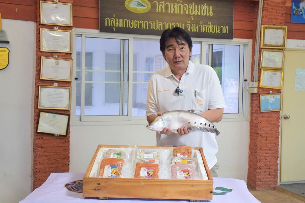economic-business-thai-chainat-catfish-fishery-products-SPACEBAR-Photo02.jpg