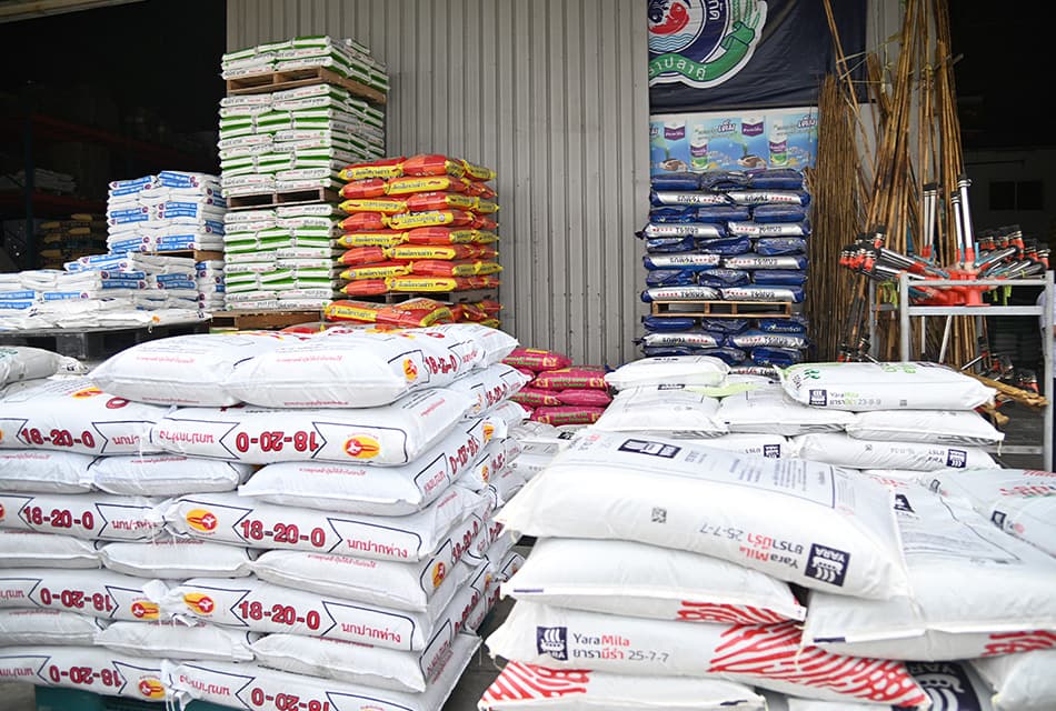 สต๊อกปุ๋ยไทย ยังพอใช้ยาวถึงส.ค. เกษตรกรไม่ต้องแห่ซื้อ