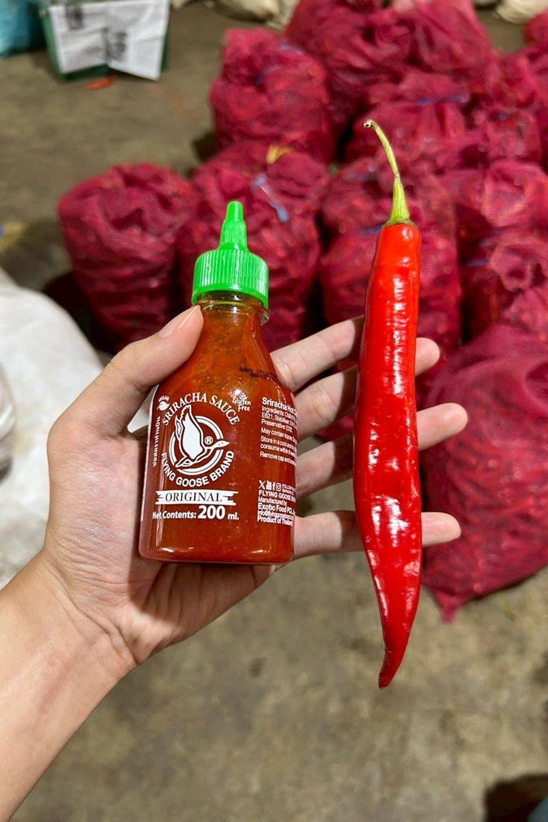 economic-business-thai-chili-chiangmai-private-purchase-SPACEBAR-Photo V01.jpg