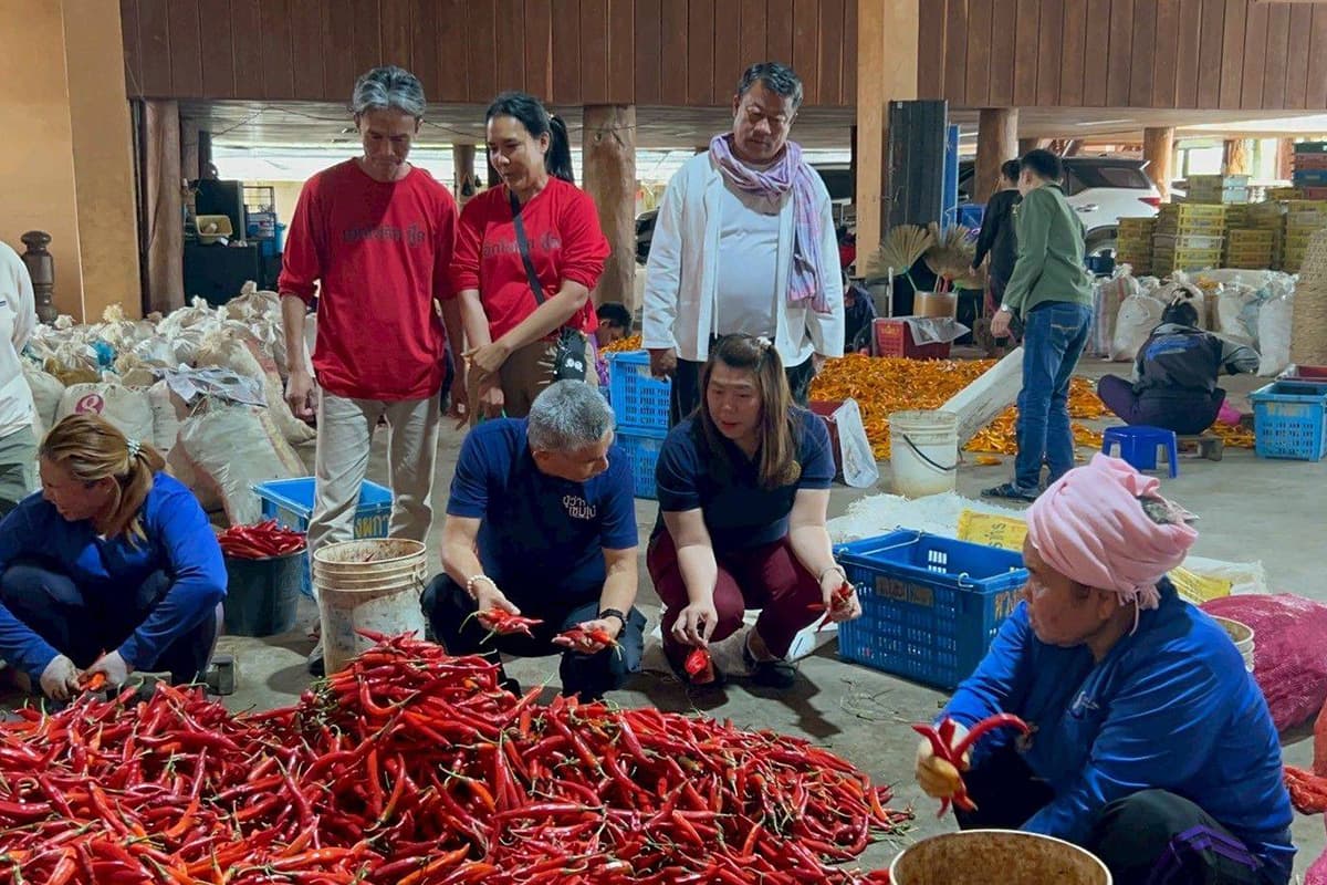 economic-business-thai-chili-chiangmai-private-purchase-SPACEBAR-Photo01.jpg