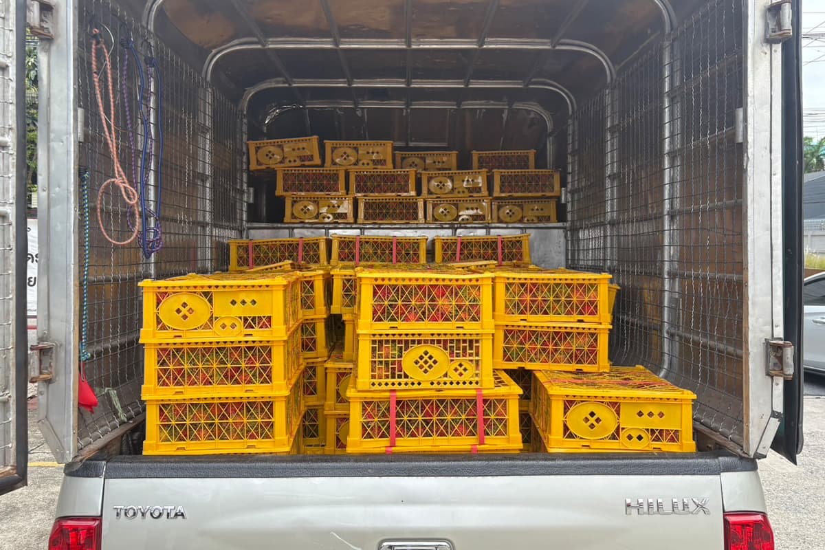 economic-business-thai-distribute-large-lots-fruits-SPACEBAR-Photo01.jpg