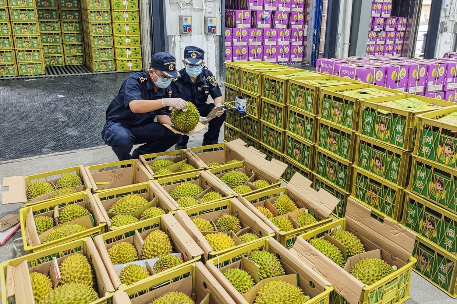 ทุเรียนไทยฟีเวอร์ บุกจีนรับตรุษจีน ยอดนำเข้าพุ่งกระฉูด