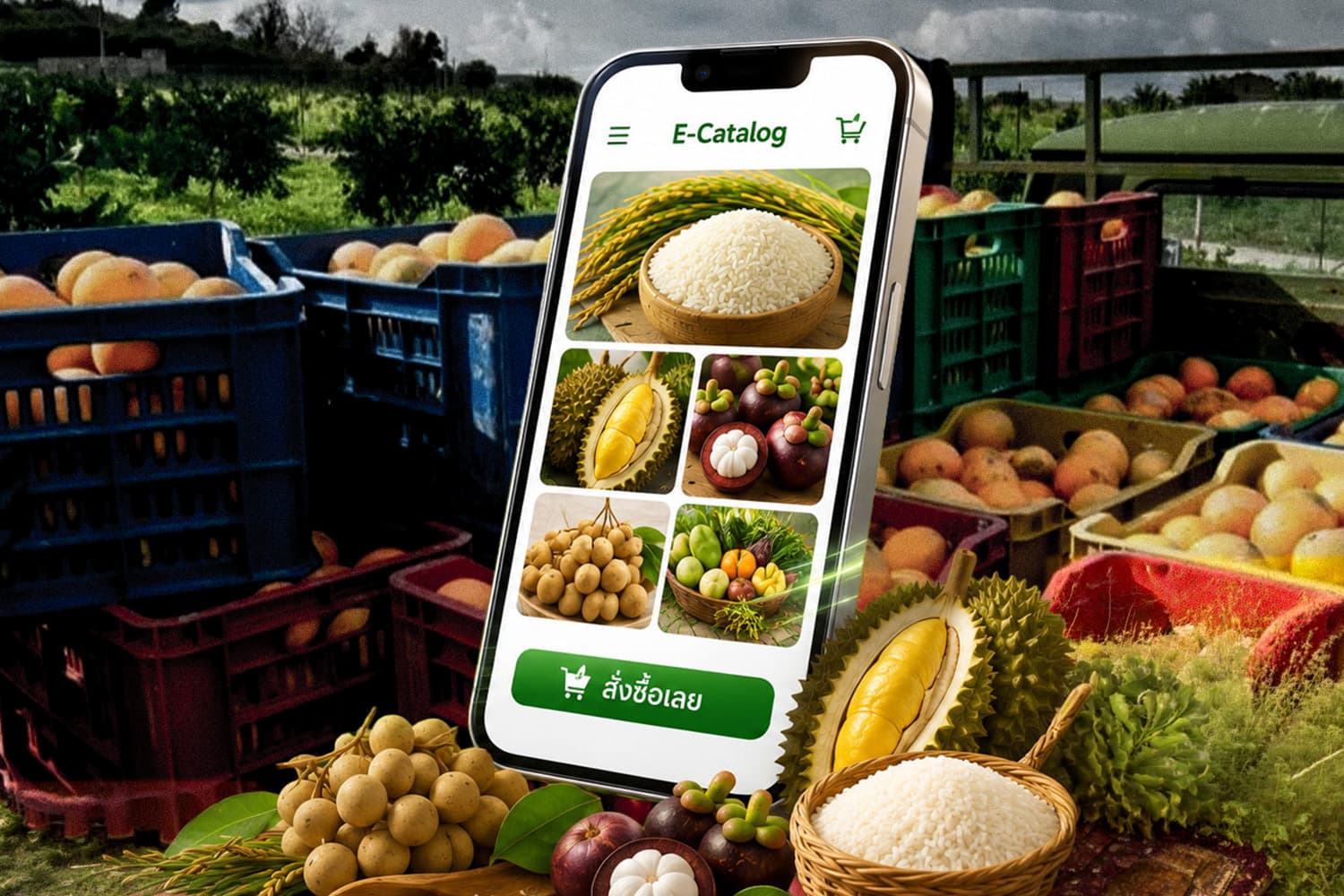 E-Catalog ซื้อขายสินค้าสหกรณ์ทั่วไทย ช้อปออนไลน์บนมือถือ