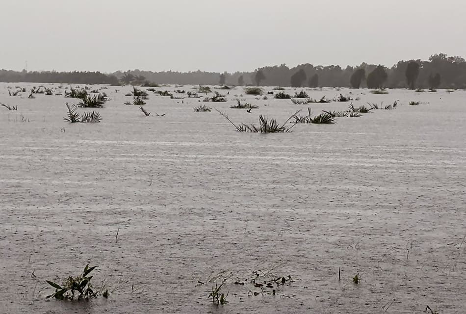 ธ.ก.ส. เตรียมวงเงินรวม 2 หมื่นล้าน ช่วยเกษตรกรน้ำท่วม