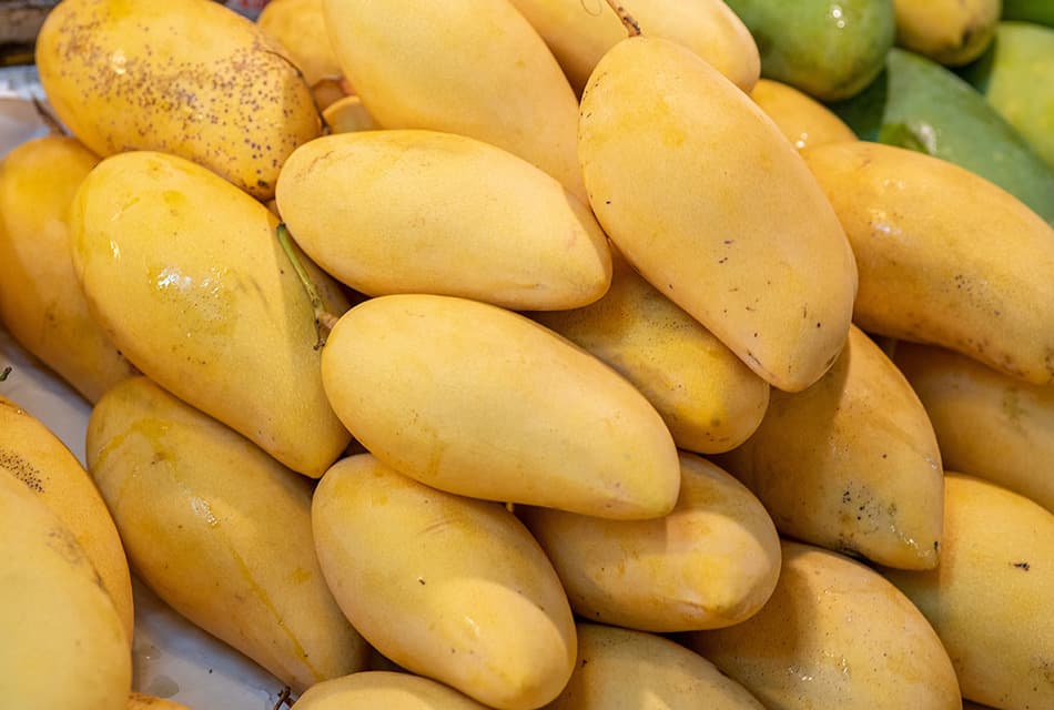 มะม่วง GI ไทยฟีเวอร์13 สายพันธุ์โกยพันล้าน คุณภาพมาตรฐานโลก