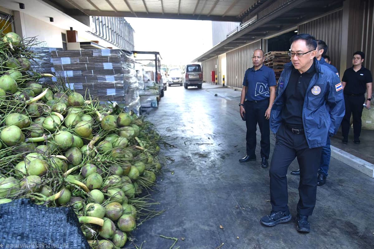 economic-business-thai-nominee-low-price-coconuts-SPACEBAR-Photo01.jpg