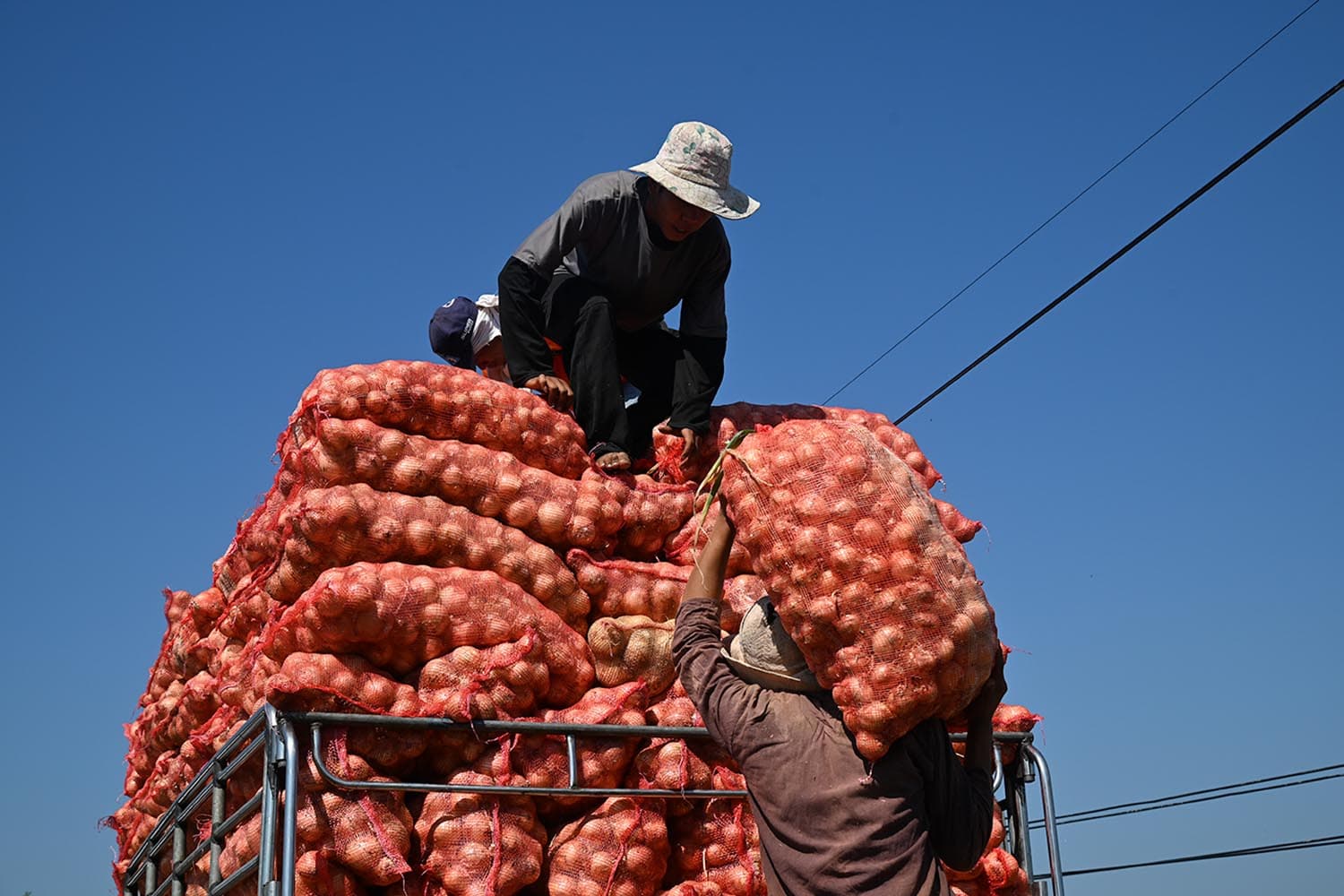คุมเข้มขนย้ายหอมหัวใหญ่ทั่วไทย สกัดลักลอบ–รักษาเสถียรภาพราคา