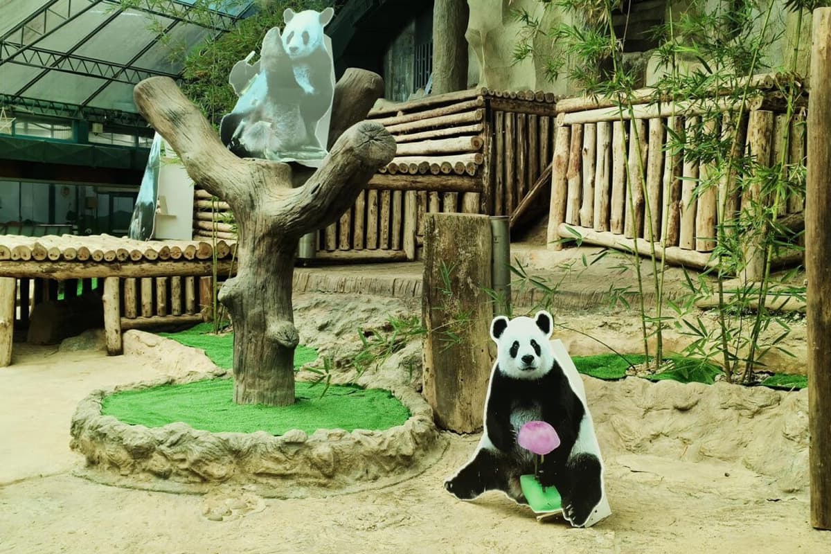 economic-business-thai-panda-chiangmai-SPACEBAR-Photo09.jpg