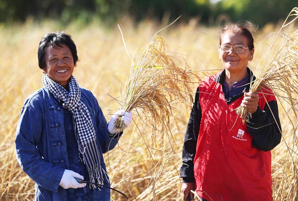 ธ.ก.ส. เปิดตัวโครงการข้าวลดโลกร้อน ลดการปล่อยก๊าซมีเทนในนาข้าว เดินหน้าสู่เป้าหมาย Carbon neutrality