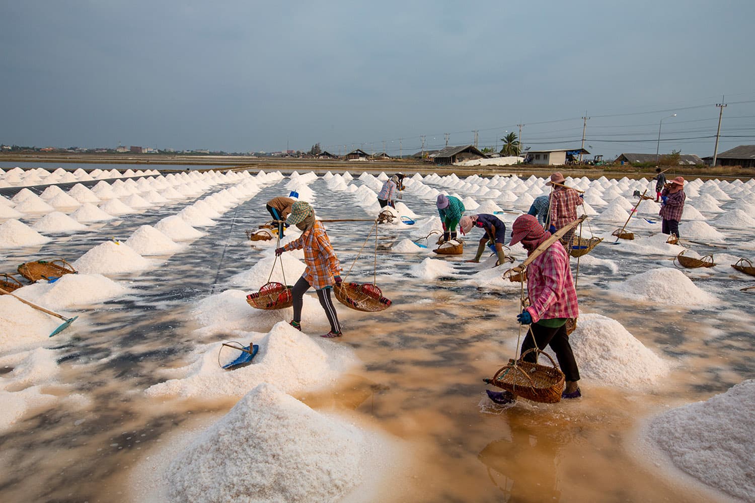 เกษตรฯ ตั้งทีมเฉพาะกิจ พยุงราคาเกลือทะเลไทยทั้งระบบ