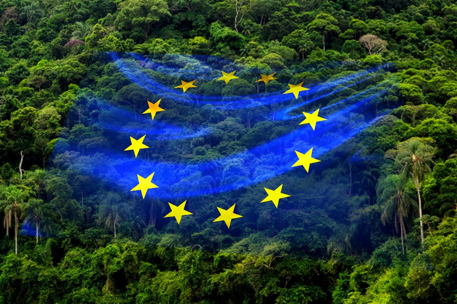 economic_business_thai_eudr_eu_law_SPACEBAR_Hero_16c627ad45.jpg