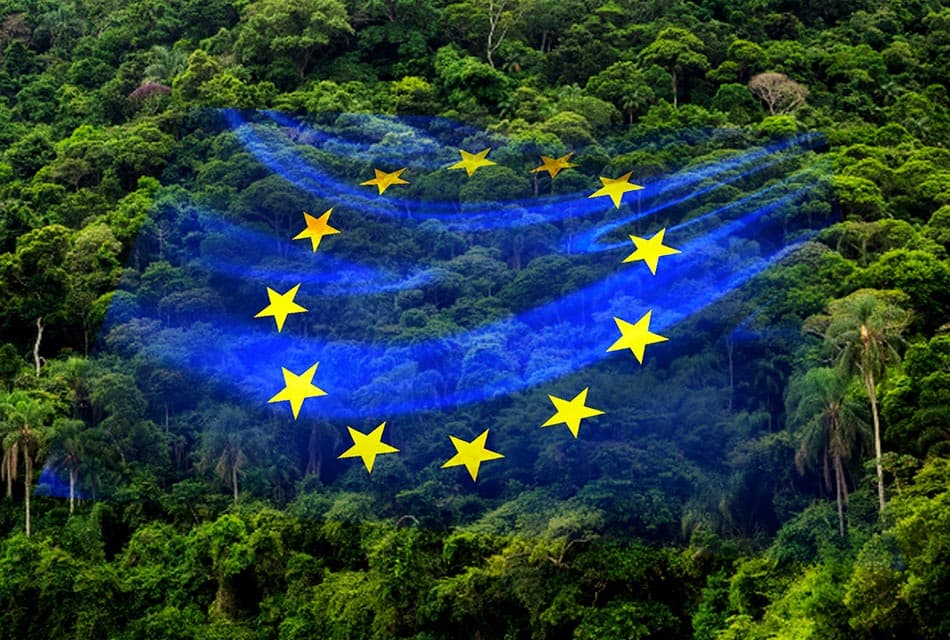 economic_business_thai_eudr_eu_law_SPACEBAR_Thumbnail_dadb5b9a93.jpg