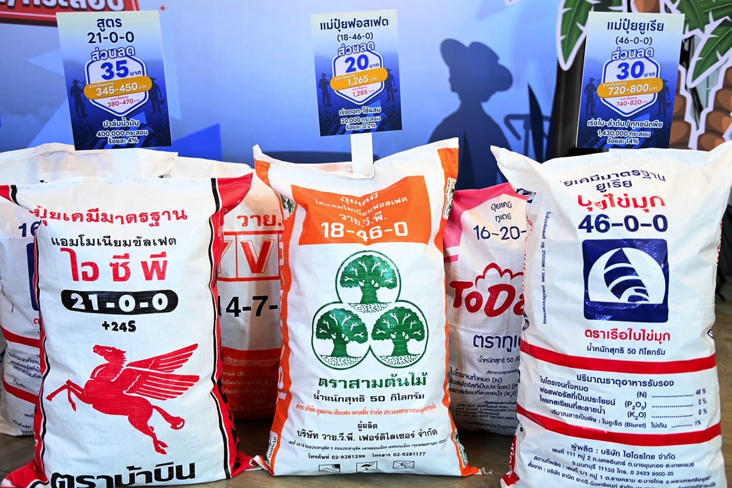 economic_business_thai_fertilizer_prices_season_SPACEBAR_Hero_f733147e7a.jpg