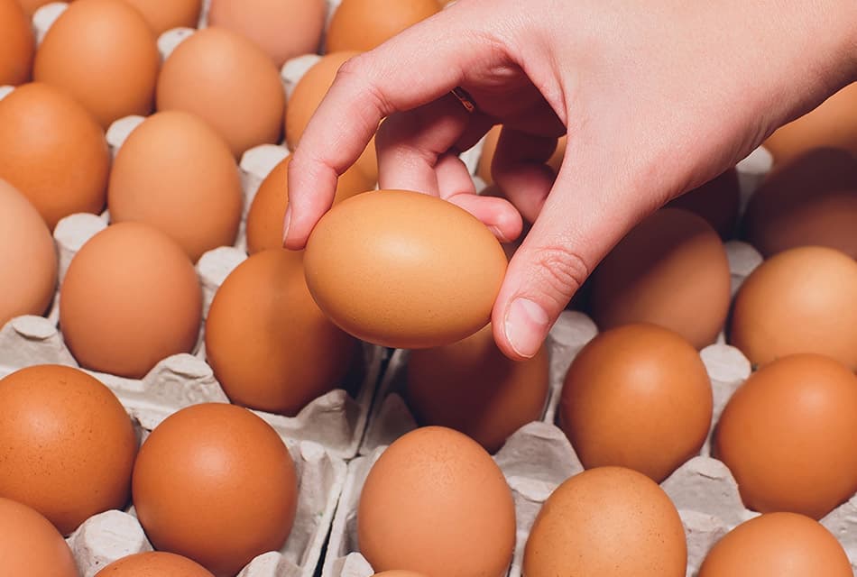 ไข่ไก่ขึ้นราคา แผงละ 6 บาท ผลผลิตลด-อากาศร้อนกดซัพพลาย