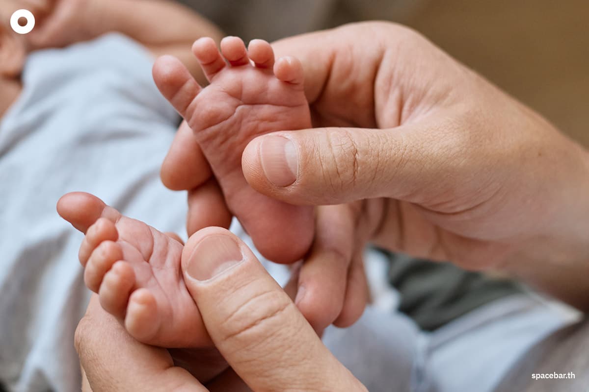    (Photo by Shutterstock / StoryTime Studio) 