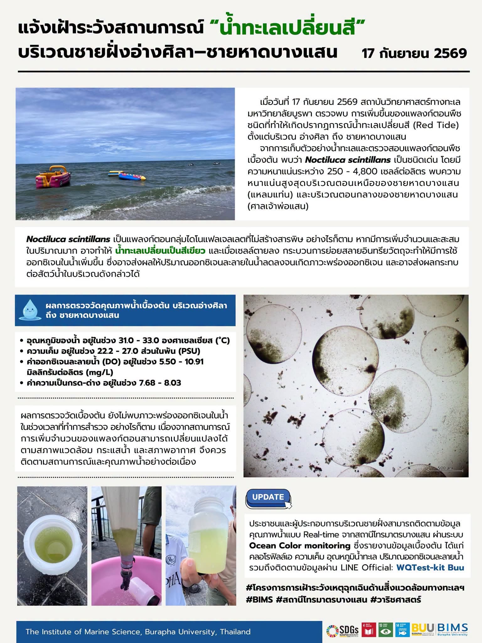 green-space-bangsaen-sea-color-change-plankton-bloom-3.png.jpeg