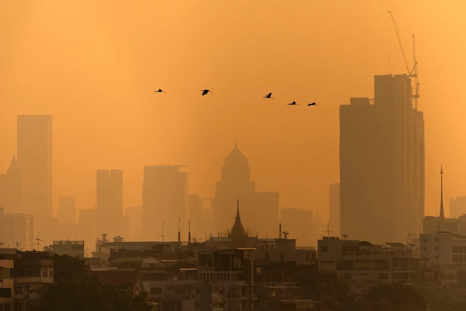 if_you_live_in_big_city_you_already_smoke_every_day_SPACEBAR_de2e4a17ff.jpg