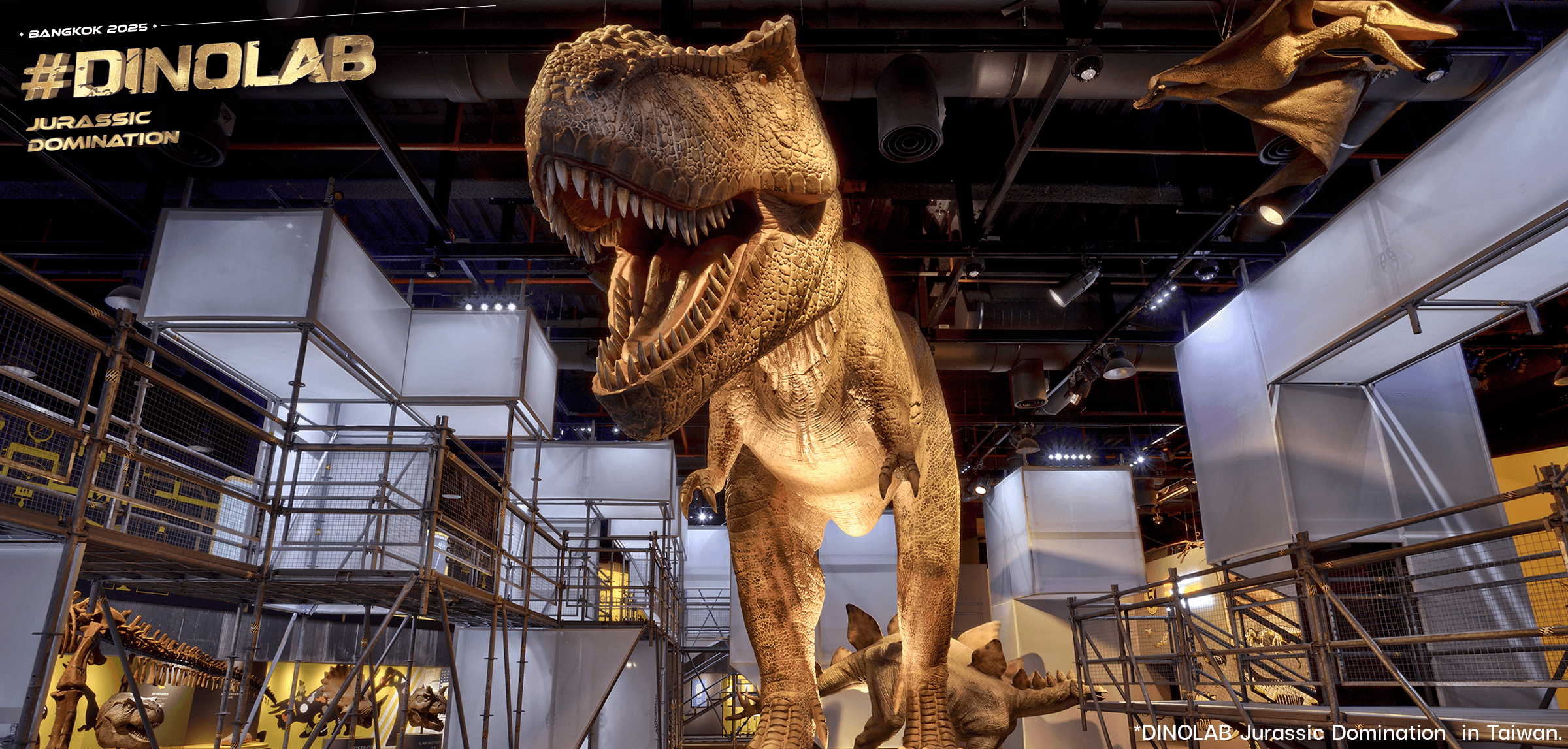 image_2025_01_14_153103815_a676a7dc4e.png