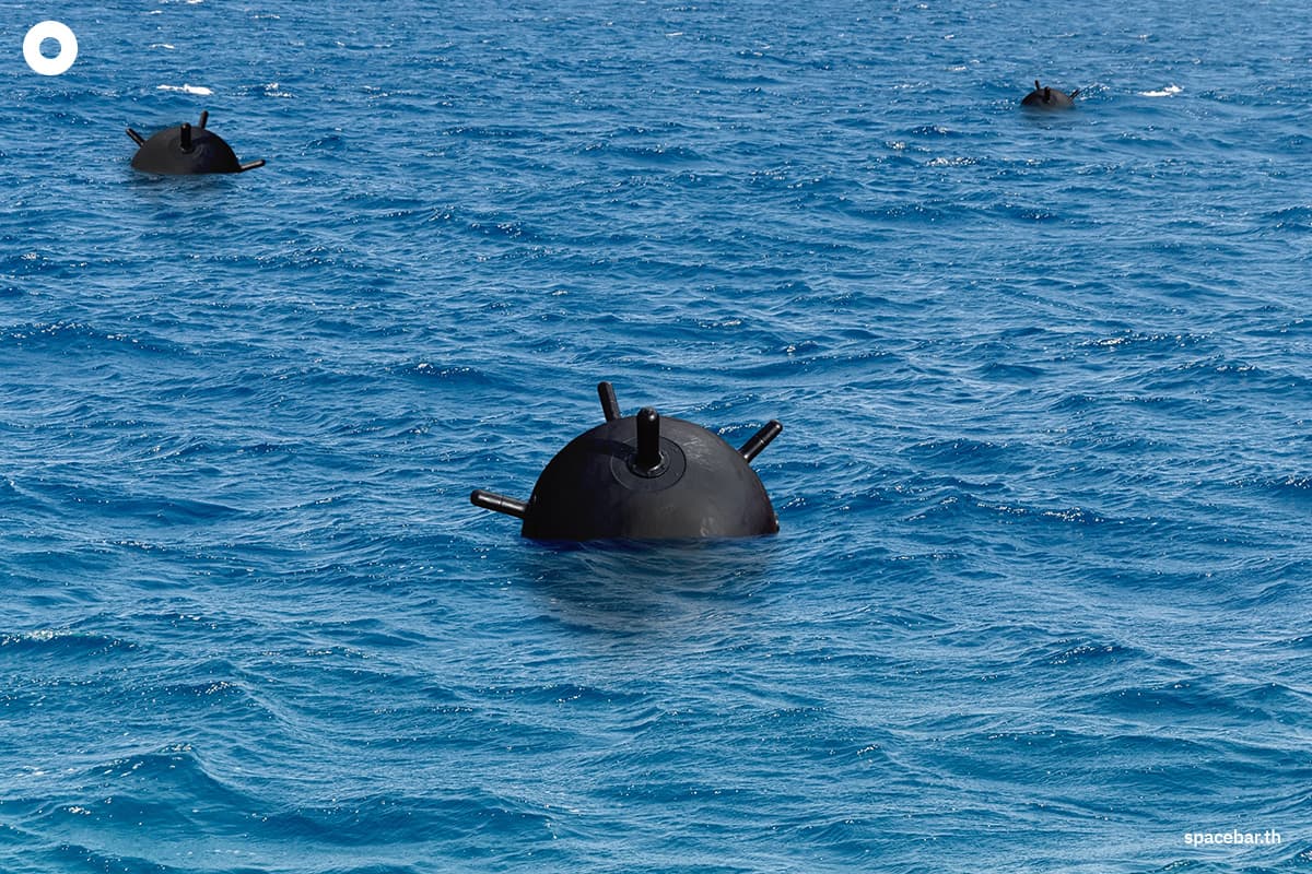 (Photo by : Shutterstock / Anelo)   