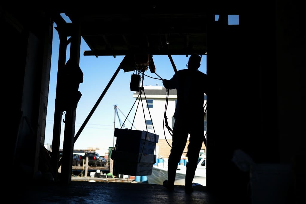 Ward Peck, a tank room manager at the pier in Portland, Maine, unloads freshly caught lobster from a fishing boat