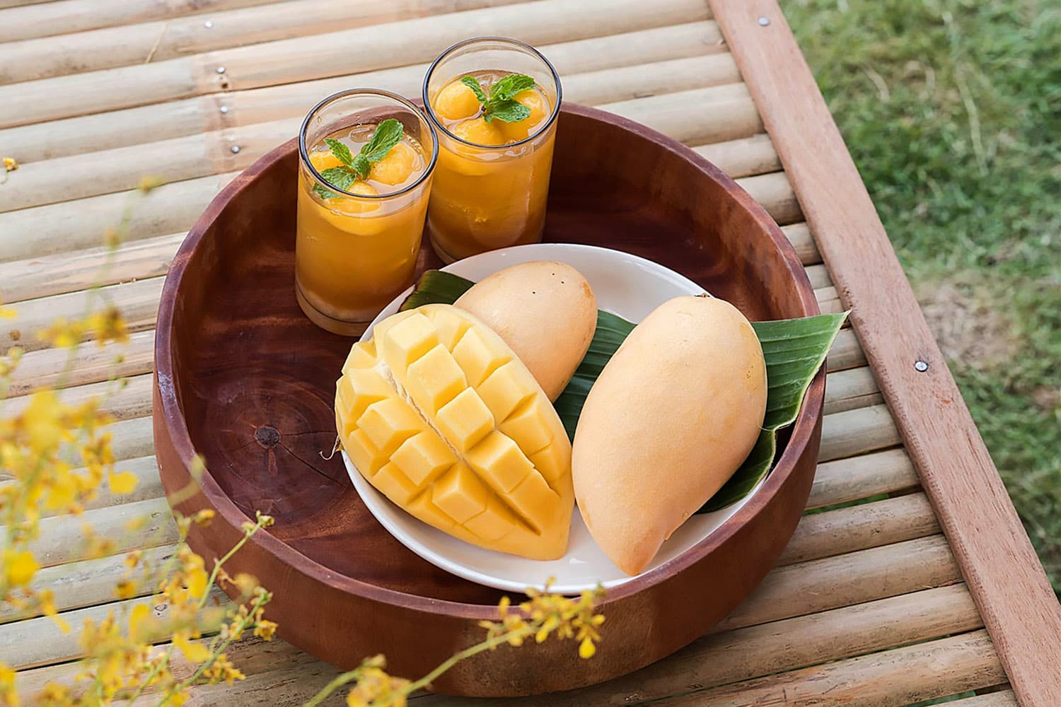 มะม่วง GI บ้านแฮด เข้างานวิวาห์ ‘ณเดชน์-ญาญ่า’ ดันพรีเมียม