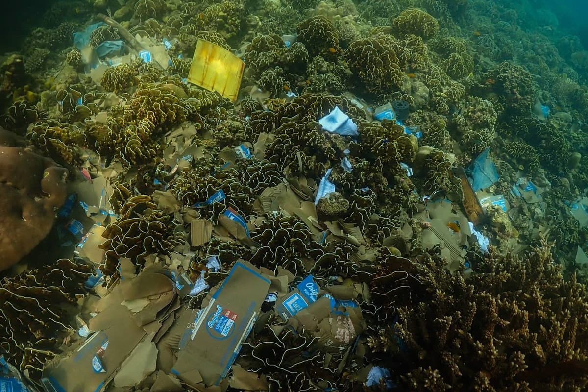 ขยะตกค้างที่อาจส่งผลกระทบต่อการฟื้นตัวของระบบนิเวศทางทะเล