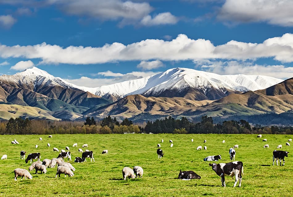 new_zealand_is_tripling_its_tourist_tax_SPACEBAR_Thumbnail_2b7da21fb5.jpg