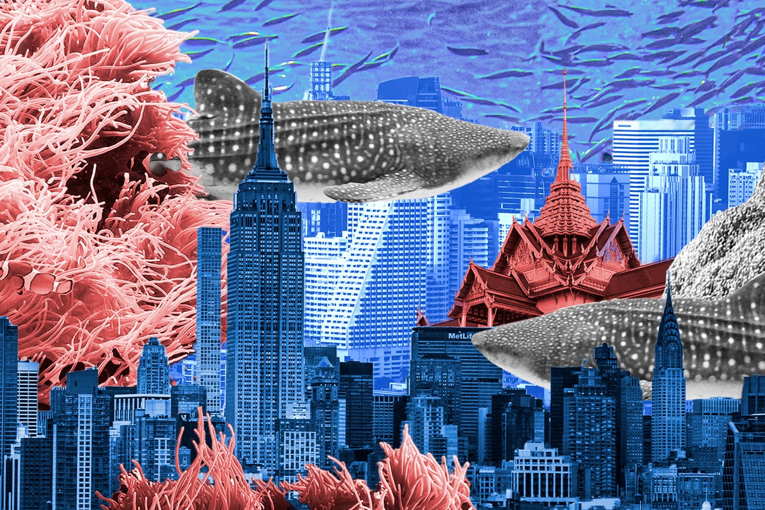 newyork_city_bangkok_is_sinking_weight_of_skyscrapers_SPACEBAR_Hero_9194e104b0.jpeg