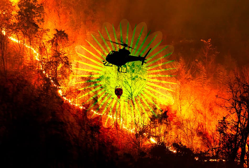 สั่งปิดป่าสงวน-ป่าอนุรักษ์ทั่วประเทศ คุมเข้มไฟป่า-ฝุ่น PM2.5 ยกระดับปฏิบัติการฉุกเฉิน