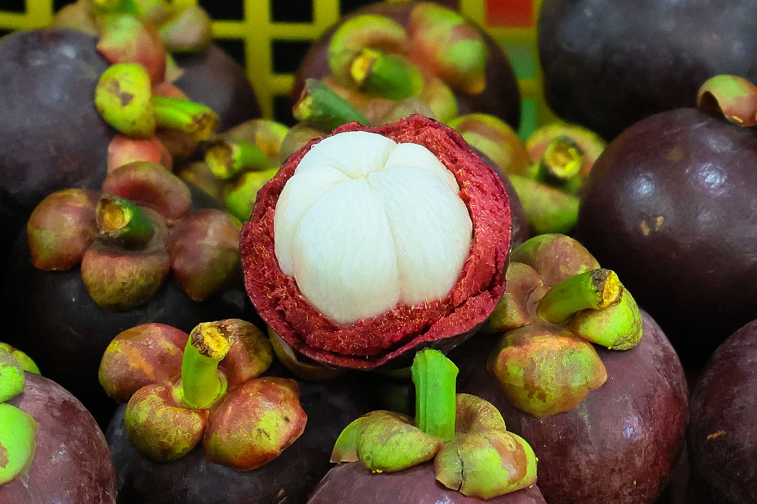 เกษตรฯ ดันมังคุด Q Chan เปิดตลาดเพิ่มมูลค่า