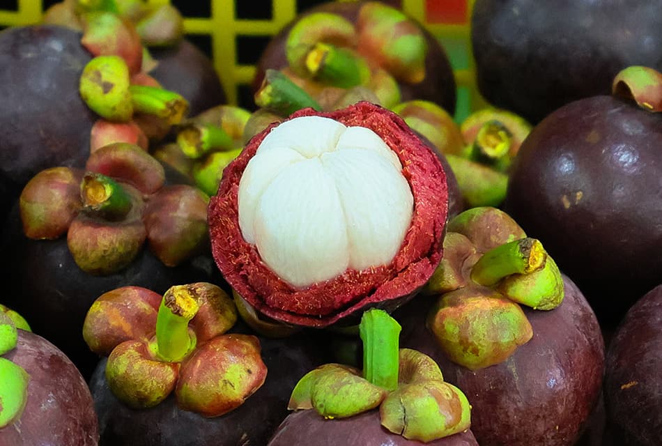 เกษตรฯ ดันมังคุด Q Chan เปิดตลาดเพิ่มมูลค่า