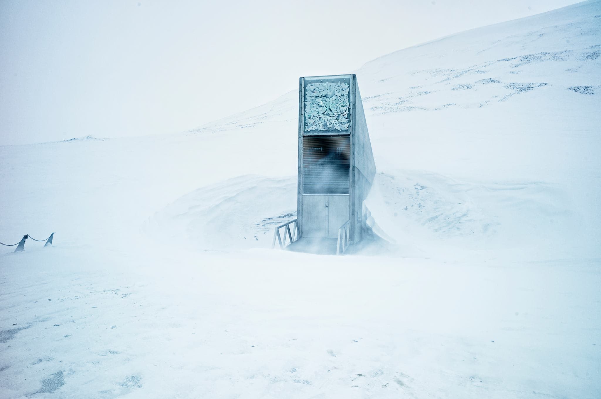 seedvault_051c5bf519.jpeg