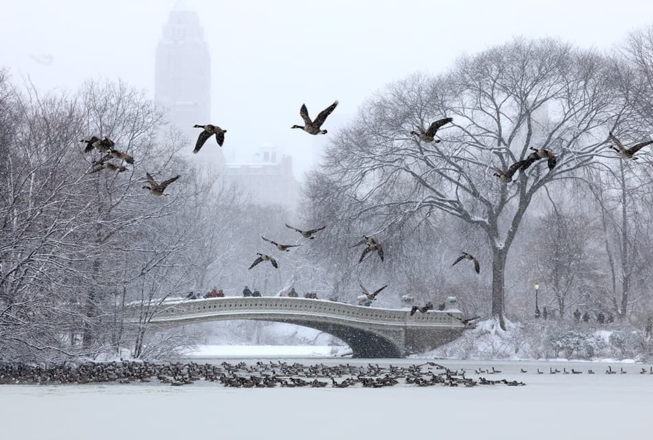 Photo Story: พายุหิมะถล่มนิวยอร์กหนักสุดในรอบเกือบ 4 ปี