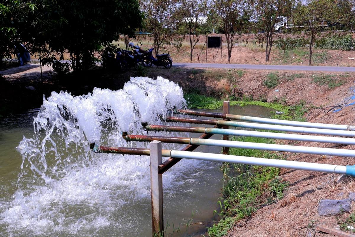 solar-water-pump-farm-energy-fund-SPACEBAR-Photo03.jpg