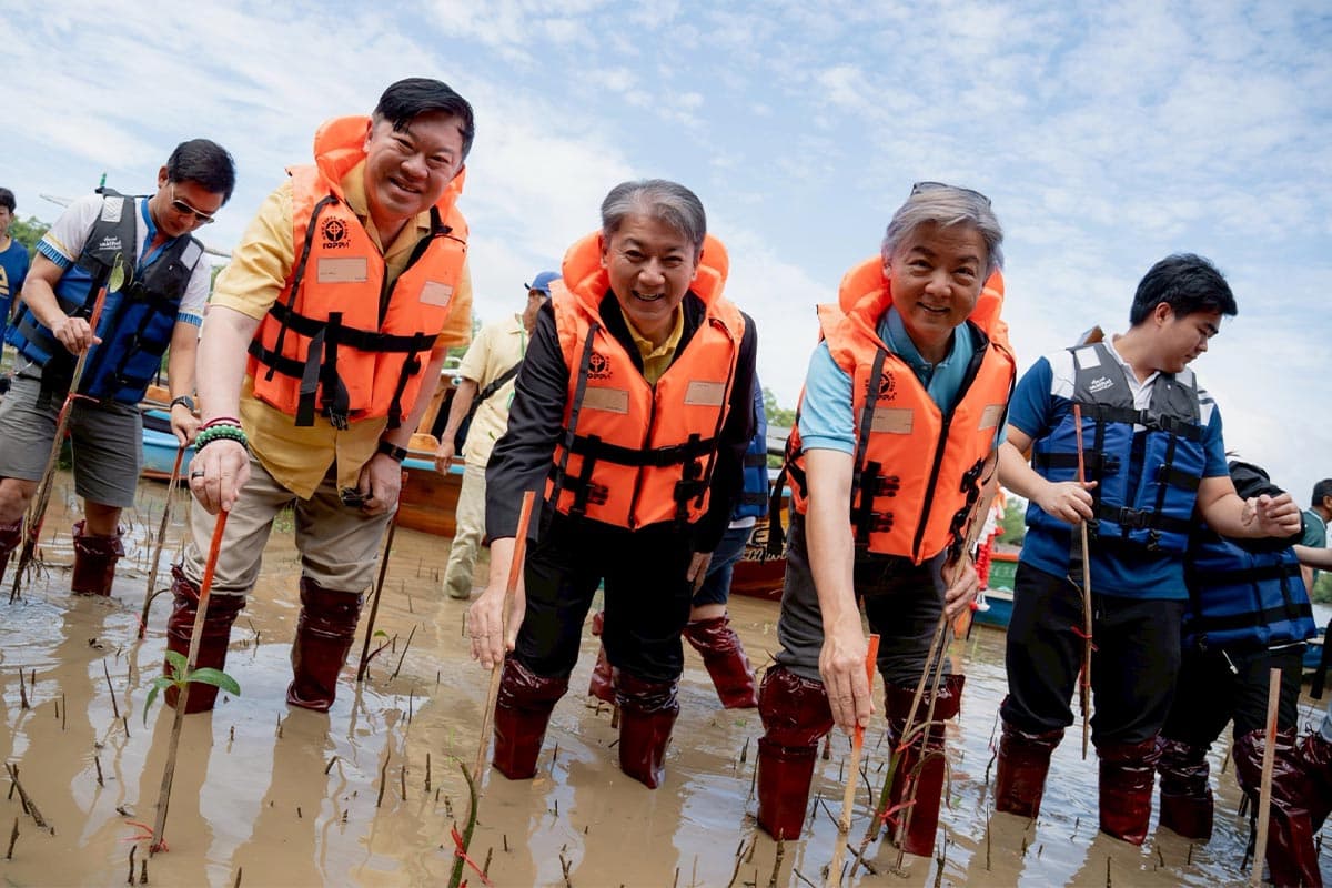 sustainability-central-tham-restore-mangroves-blue-carbon-SPACEBAR-Photo01.jpg