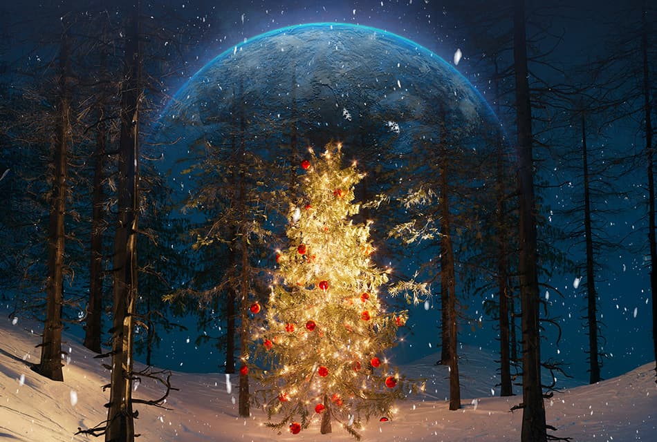 เปิดต้นทุนคาร์บอน ‘ต้นคริสต์มาสจริง-ปลอม’ เมื่อเทศกาลแห่งความสุขถูกชั่งน้ำหนักเพราะวิกฤตโลกร้อน