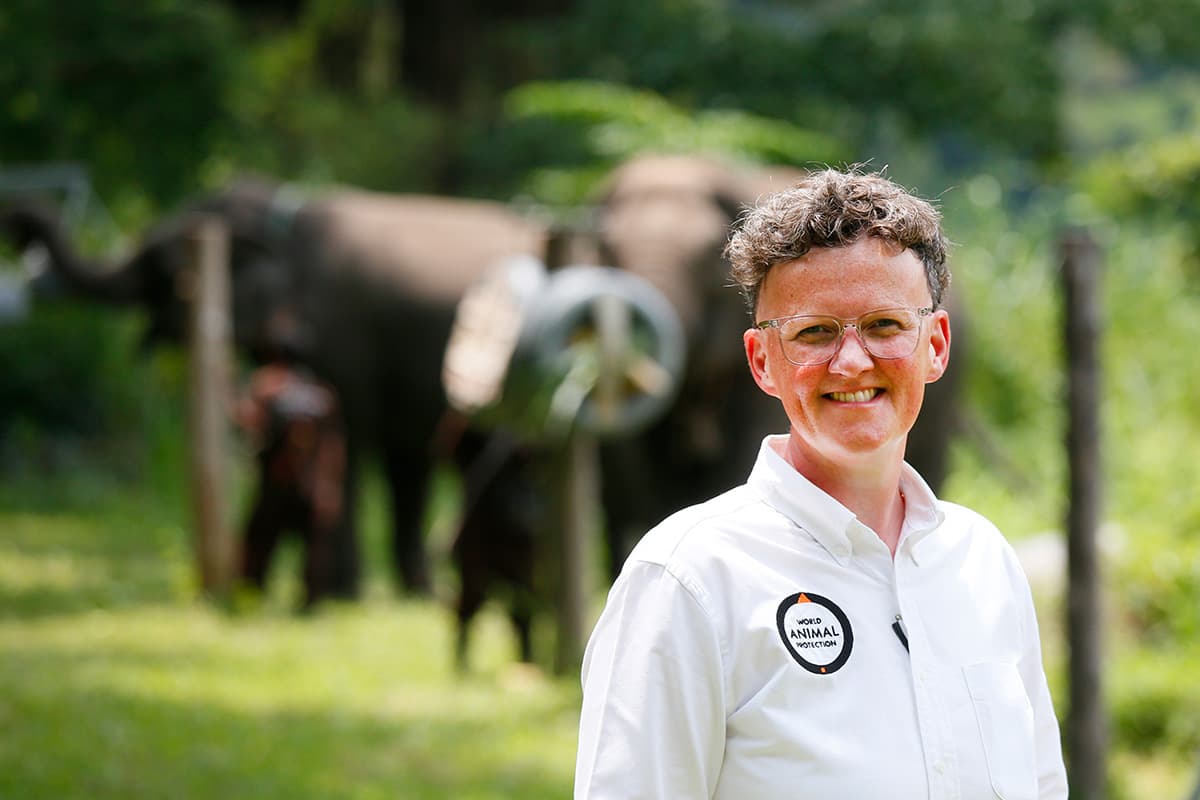 คุณทริเซีย โครสดอล ประธานเจ้าหน้าที่บริหาร ขององค์กรพิทักษ์สัตว์แห่งโลก