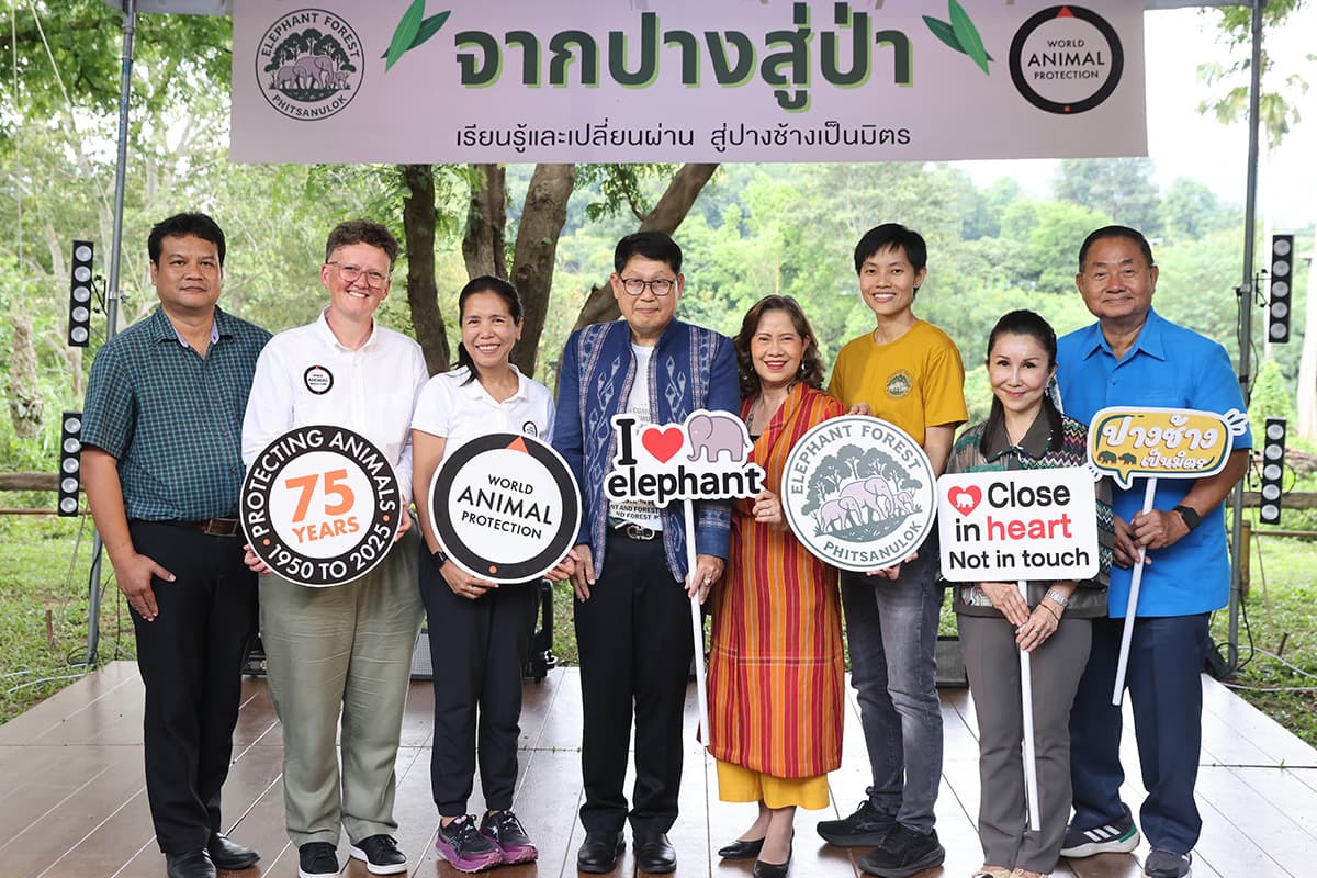 sustainability-elephant-forest-phitsanulok-travel-friendly-SPACEBAR-Photo09.jpg