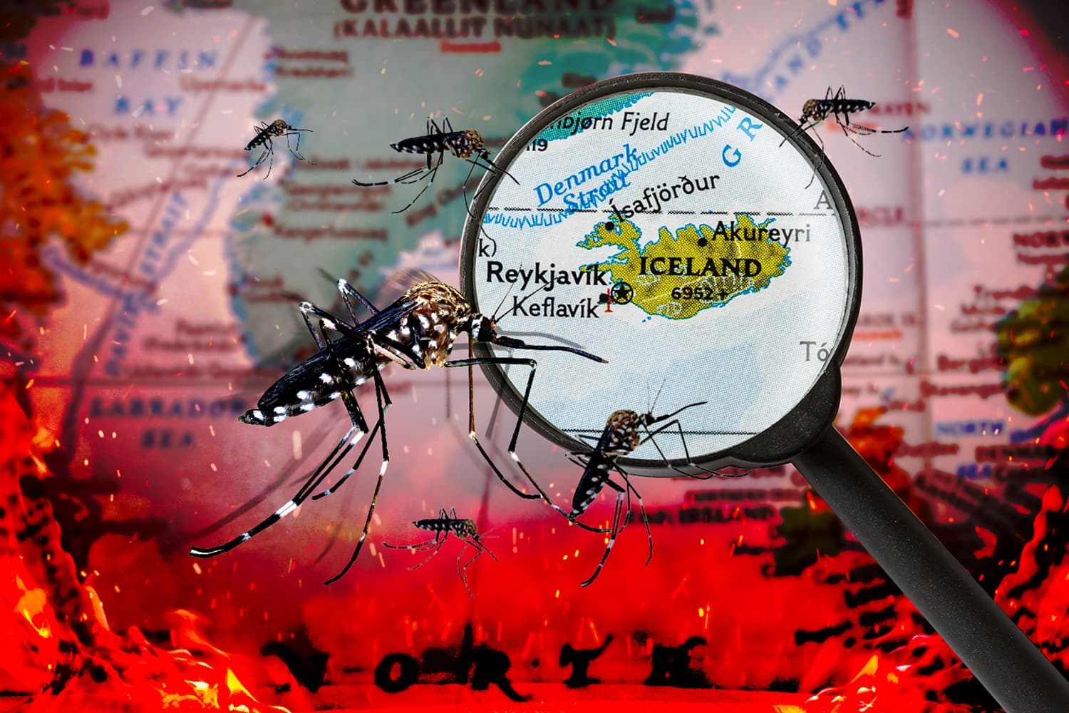 โลกร้อนสั่นคลอน ‘ไอซ์แลนด์’ ยุติสถานะประเทศปลอดยุงแห่งสุดท้ายในซีกโลกเหนือ