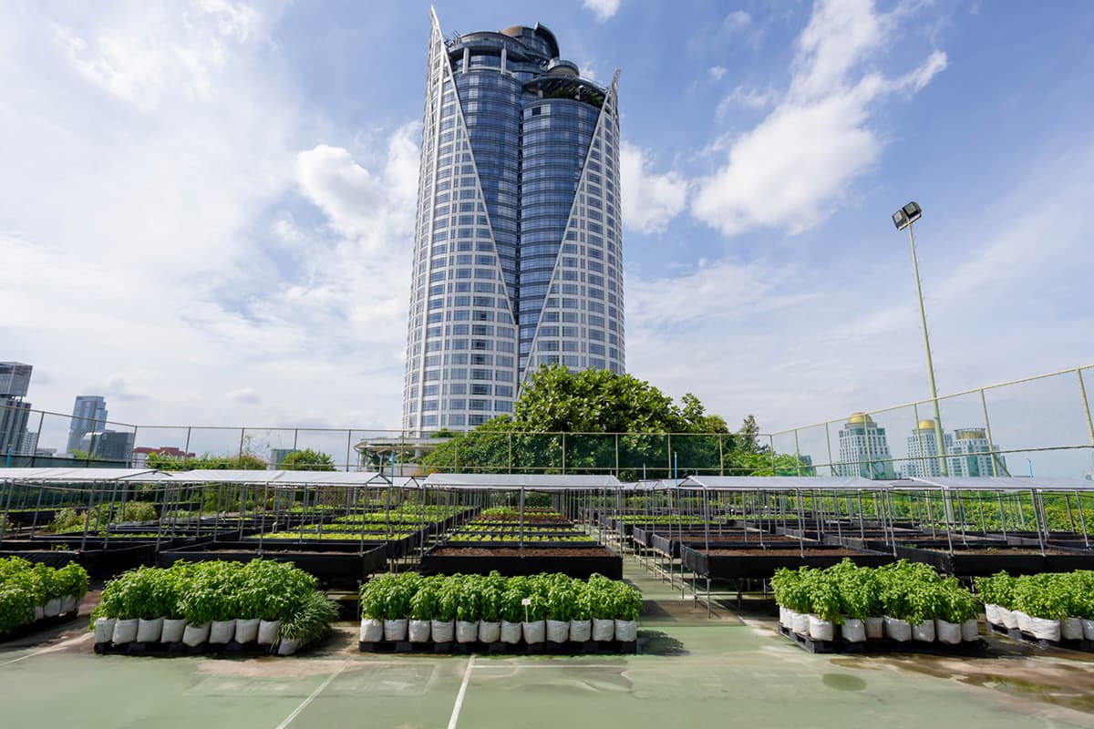 sustainability-from-rooftop-farm-to-table-centara-SPACEBAR-Photo01.jpg