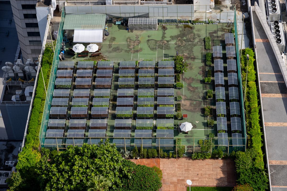 sustainability-from-rooftop-farm-to-table-centara-SPACEBAR-Photo04.jpg