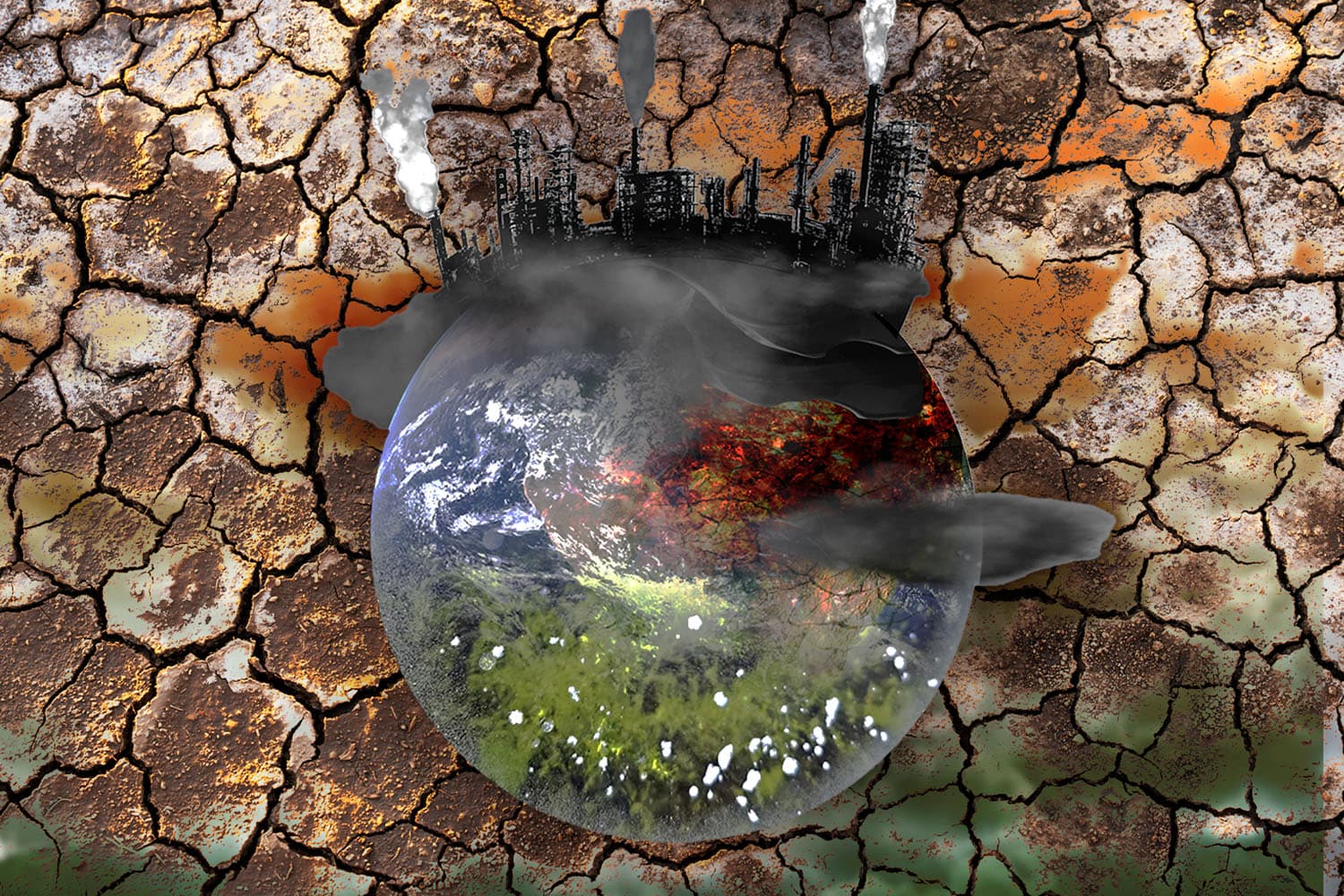 ภาพสวยซ่อนวิกฤต ‘น้ำแข็งสีเขียว’ โรคเรื้อรังของแหล่งน้ำยุคโลกร้อน