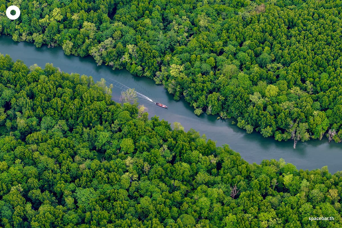 sustainability-mae-fah-luang-green-economy-biodiversity-SPACEBAR-Photo01.jpg