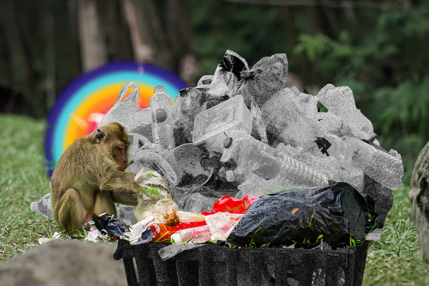 ปีใหม่หยุดยาวท่องเที่ยวคึกคักแต่ขยะพุ่ง! รัฐขอความร่วมมือลดขยะช่วงเทศกาลปกป้องธรรมชาติ