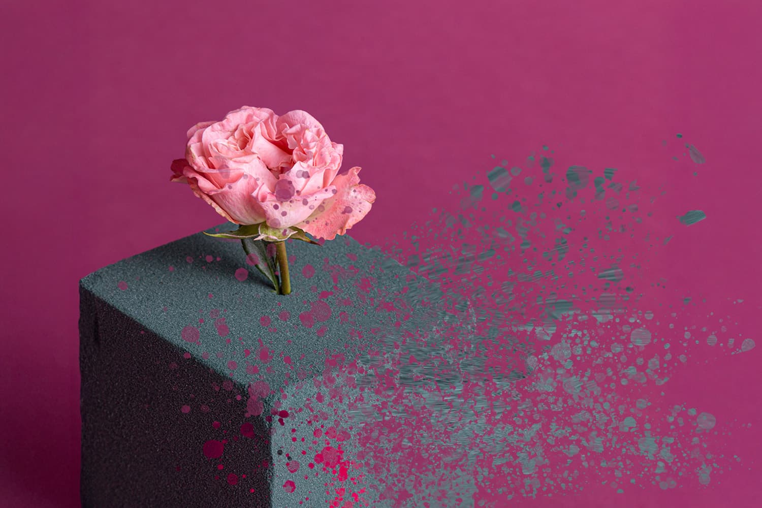 ‘โอเอซิส’ จำเลยรักวาเลนไทน์ ไม่ย่อยสลาย พร้อมกระจายเป็นไมโครพลาสติก